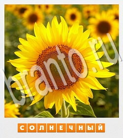 ответы на игру Фотослово уровень 115