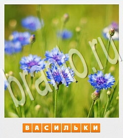 ответы на игру Фотослово - разгадай слово по фотографии уровень 116