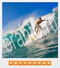 решения на игру Фотослово - разгадай слово по фотографии вконтакте уровень 124