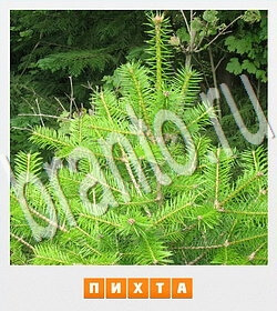 игра Фотослово - разгадай слово по фотографии відповіді в контакте уровень 130