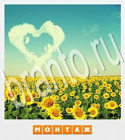 ответы на игру Фотослово - разгадай слово по фотографии уровень 140