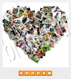 Фотослово - разгадай слово по фотографии ответ на уровень 141