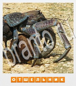 ответы на игру Фотослово уровень 147