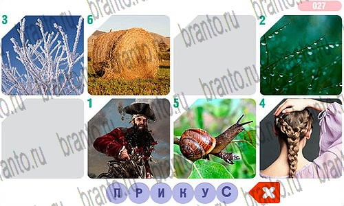 ответы на игру в одноклассниках Фоторебус уровень 27