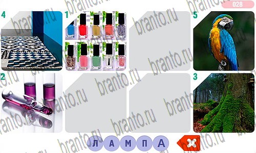 Фоторебус игра ответы в одноклассниках уровень 28