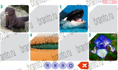 игра Фоторебус помощь одноклассники Уровень 40