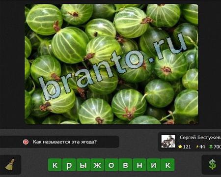 ответы на игру Я гений в контакте Уровень 121