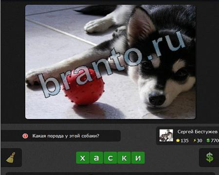 Я гений игра помощь iГений Уровень 135