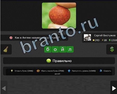 Решения на игру Я гений Уровень 243