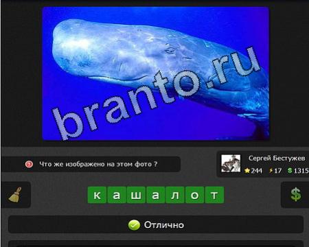 Помощь на игру ВК Я гений Уровень 244