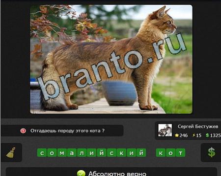ответы на игру в контакте Я гений Уровень 246
