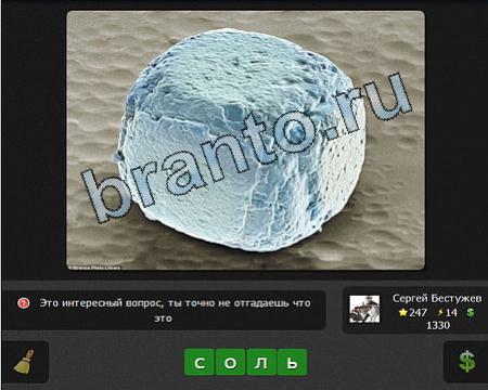 Я гений игра ответы в одноклассниках Уровень 247