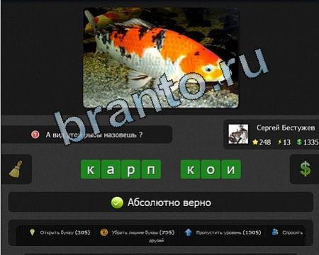 ВКонтакте Я гений ответы Уровень 248
