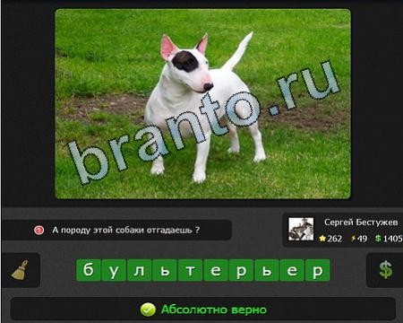 Я гений решения Уровень 262