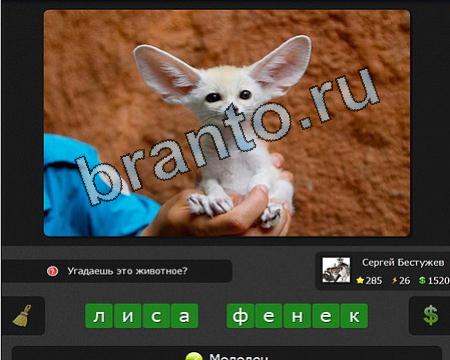 Я гений игра помощь iГений Уровень 285