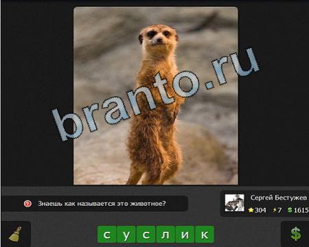 Помощь на игру ВК Я гений Уровень 304