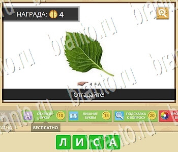 Гипер Мозг игра ответы в одноклассниках Загадки и Ребусы уровень 28