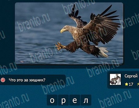 IQ Битва - вопросы, слова, загадки, угадай, тест ответы в картинках в контакте уровень 17