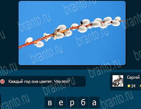 Решения на игру IQ Битва эпизод 1 уровень 34