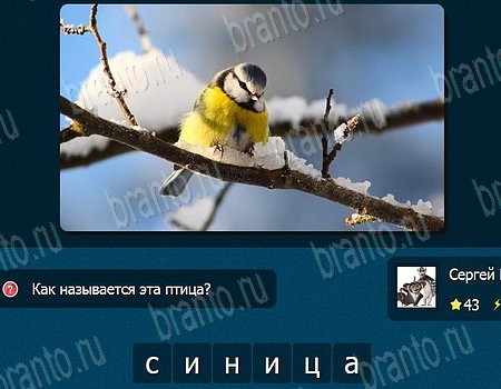 IQ Битва решения на игру из одноклассников Уровень 43