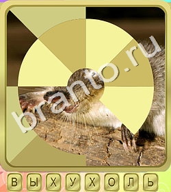 игра Калейдоскоп слов ответы в контакте уровень 206