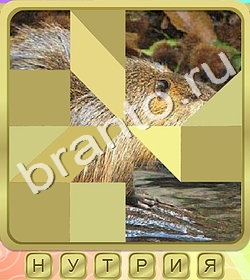 ответы на все уровни игры Калейдоскоп слов уровень 231