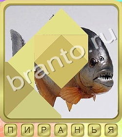 Калейдоскоп слов игра ответы ВК уровень 280