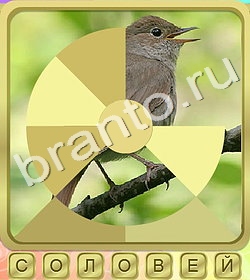 Калейдоскоп слов ответ на уровень 289