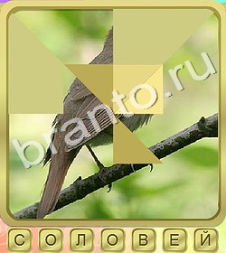 Калейдоскоп слов ответы уровень 297