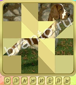 ответы на игру Калейдоскоп слов уровень 298