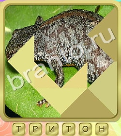 решения на игру Калейдоскоп слов вконтакте уровень 304