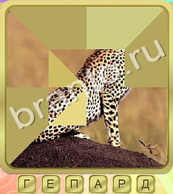 Калейдоскоп слов ВК ответ на уровень 323