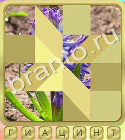 ответы на игру Калейдоскоп слов уровень 324