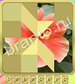 ответы на игру Калейдоскоп слов уровень 325