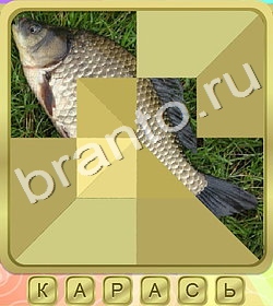 ответы на все уровни игры Калейдоскоп слов уровень 331