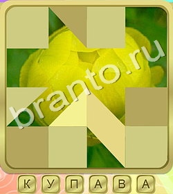 ответы Калейдоскоп слов уровень 342