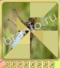 Калейдоскоп слов ответы уровень 347