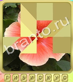 ответы на игру Калейдоскоп слов уровень 349