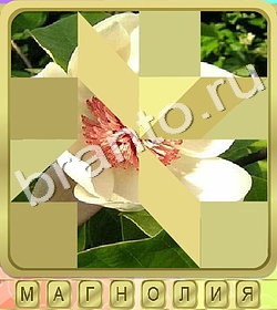 помощь на игру Калейдоскоп слов одноклассники уровень 353