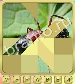 игра Калейдоскоп слов помощь ВК уровень 358