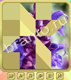 игра Калейдоскоп слов відповіді в контакте уровень 360