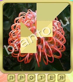 Калейдоскоп слов игра ответы вконтакте уровень 363