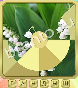 Калейдоскоп слов ВК ответ на уровень 373