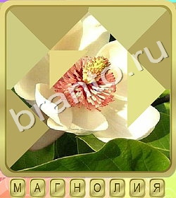 ответы на игру Калейдоскоп слов уровень 374