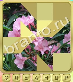 ответы на игру Калейдоскоп слов уровень 378