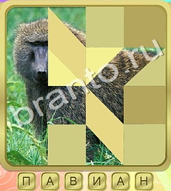 ответы на игру Калейдоскоп слов в Одноклассниках уровень 379