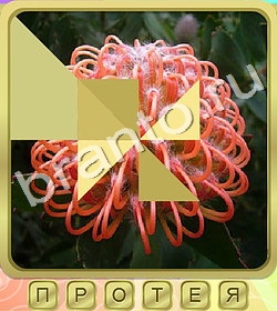 ответы на все уровни игры Калейдоскоп слов уровень 381