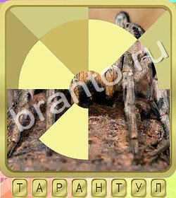 подсказки на игру Калейдоскоп слов уровень 385