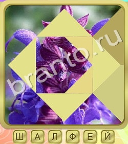 ответы на игру Калейдоскоп слов уровень 388