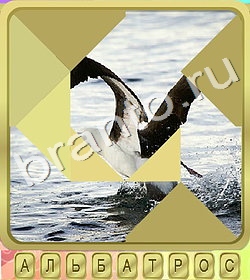 Калейдоскоп слов ответ на уровень 390